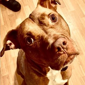 Meet your Posher, Kristi